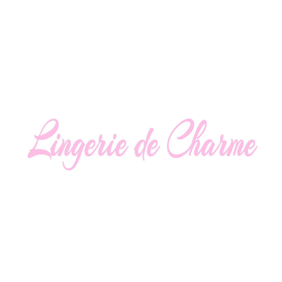 LINGERIE DE CHARME SAINT-CYR-LA-ROCHE